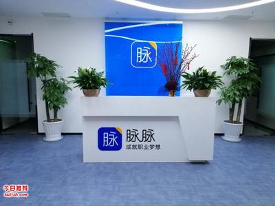 天津花卉租擺與綠植銷售 專業服務打造綠色辦公與生活空間