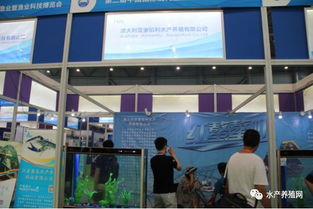 近500家水產(chǎn)產(chǎn)業(yè)鏈企業(yè)齊聚合肥漁博會，現(xiàn)場亮點(diǎn)紛呈，行業(yè)盛事引領(lǐng)產(chǎn)業(yè)新方向